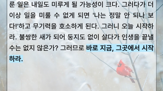 내일이면 집 지으리 - 전설의 새 '한고조' [상무지구 그릿수학전문학원]